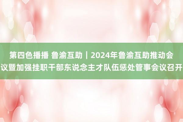 第四色播播 鲁渝互助｜2024年鲁渝互助推动会议暨加强挂职干部东说念主才队伍惩处管事会议召开