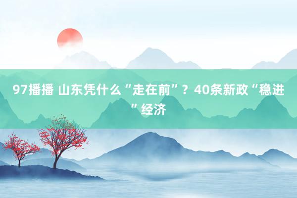 97播播 山东凭什么“走在前”？40条新政“稳进”经济