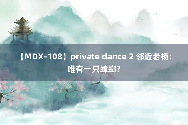 【MDX-108】private dance 2 邻近老杨：唯有一只蟑螂？