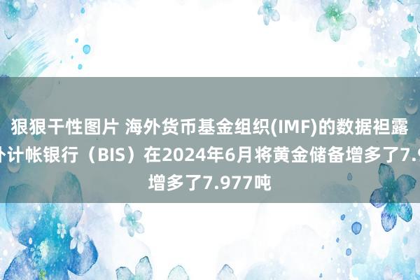 狠狠干性图片 海外货币基金组织(IMF)的数据袒露：海外计帐银行（BIS）在2024年6月将黄金储备增多了7.977吨