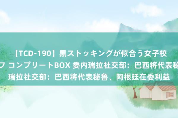 【TCD-190】黒ストッキングが似合う女子校生は美脚ニューハーフ コンプリートBOX 委内瑞拉社交部：巴西将代表秘鲁、阿根廷在委利益