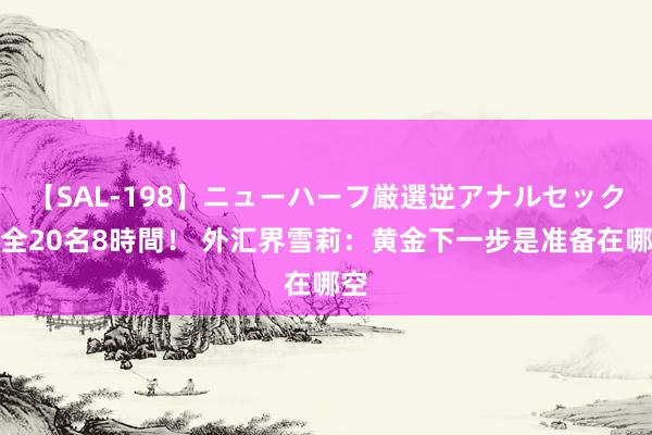 【SAL-198】ニューハーフ厳選逆アナルセックス全20名8時間！ 外汇界雪莉：黄金下一步是准备在哪空