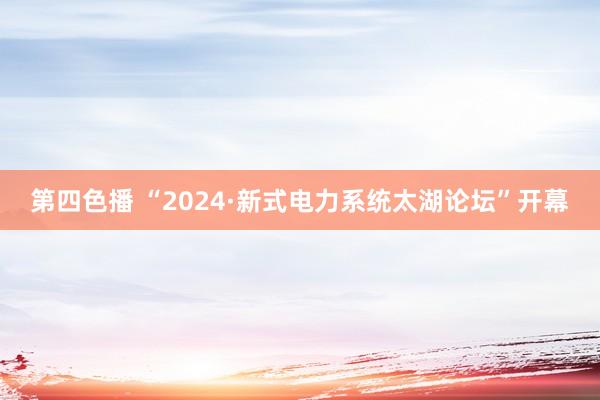 第四色播 “2024·新式电力系统太湖论坛”开幕