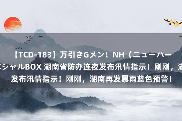 【TCD-183】万引きGメン！NH（ニューハーフ）ペニクリ狩りスペシャルBOX 湖南省防办连夜发布汛情指示！刚刚，湖南再发暴雨蓝色预警！