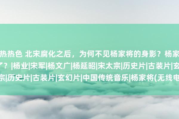 热热色 北宋腐化之后，为何不见杨家将的身影？杨家将、杨门女将去哪了？|杨业|宋军|杨文广|杨延昭|宋太宗|历史片|古装片|玄幻片|中国传统音乐|杨家将(无线电视剧)