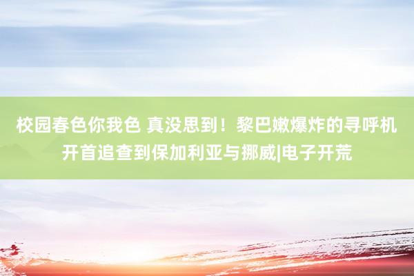 校园春色你我色 真没思到！黎巴嫩爆炸的寻呼机开首追查到保加利亚与挪威|电子开荒